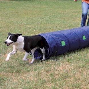 Agility Tunnel Lille    Meter   40 Cm