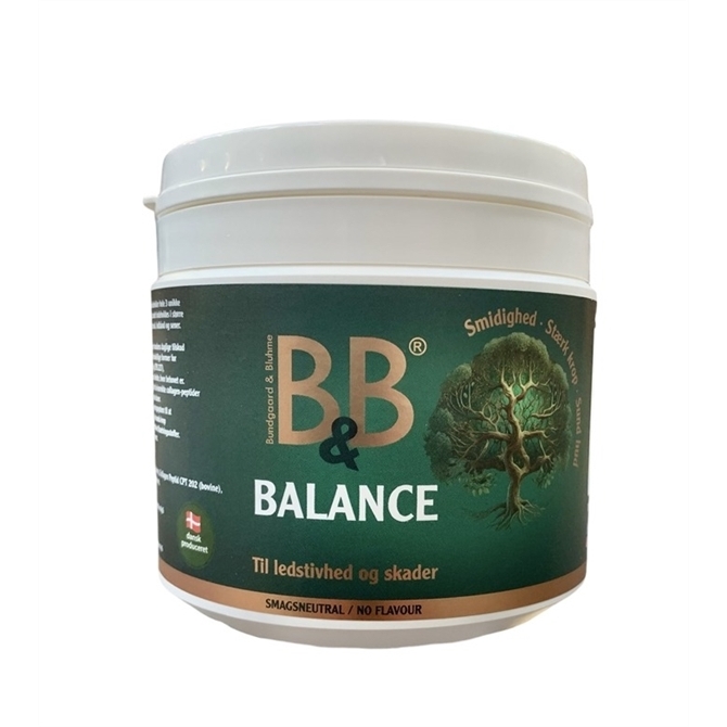 Balance 100g