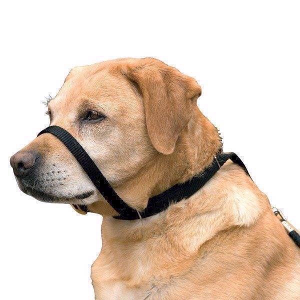 Canny Collar Anti-træk Grime Halsbånd Str