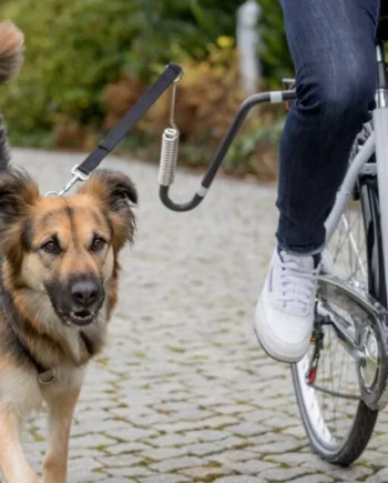 Cykel Afstandsholder Til Cykelturen Med Hunden