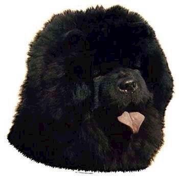 Klistermærke  Chow Chow
