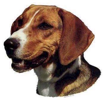 Klistermærke  Hamilton Hound