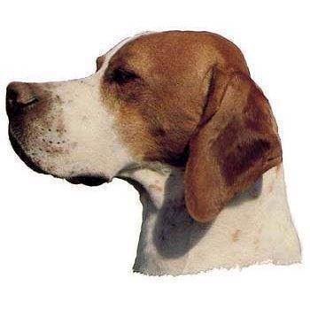 Klistermærke  Pointer