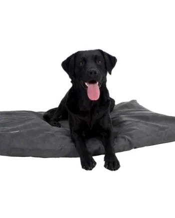 Memory Foam Hundeseng  Grå  100   70 Cm