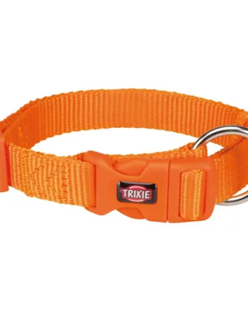 Nylon Halsbånd  Papaya  40-65 Cm  25 Mm