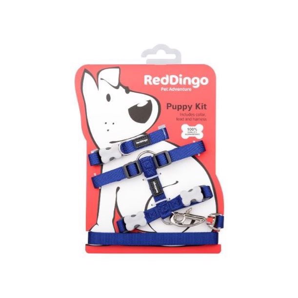 Red Dingo Hvalpesæt  Blå