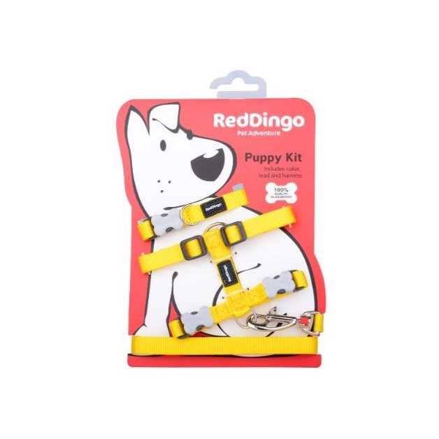 Red Dingo Hvalpesæt  Gul