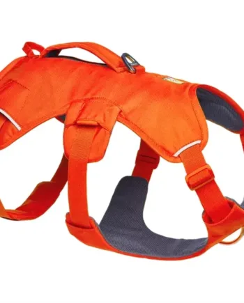 Ruffwear Web Master Harness  Blaze Orange  Small