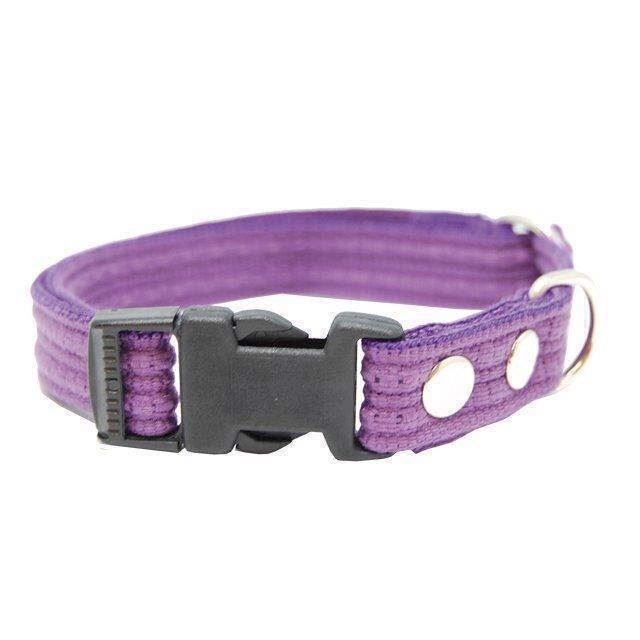 Webbing Halsbånd Med Snaplås  Lilla   Arge