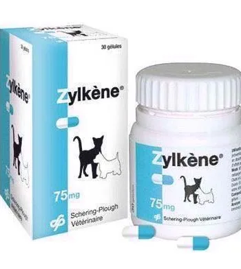Zylkã Ne  Tilskud Til Hund Og Kat Ved Uro Og Utryghed  75 Mg