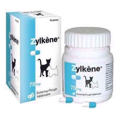 Zylkã Ne Tilskud Til Hund Og Kat Ved Uro Og Utryghed 75 Mg