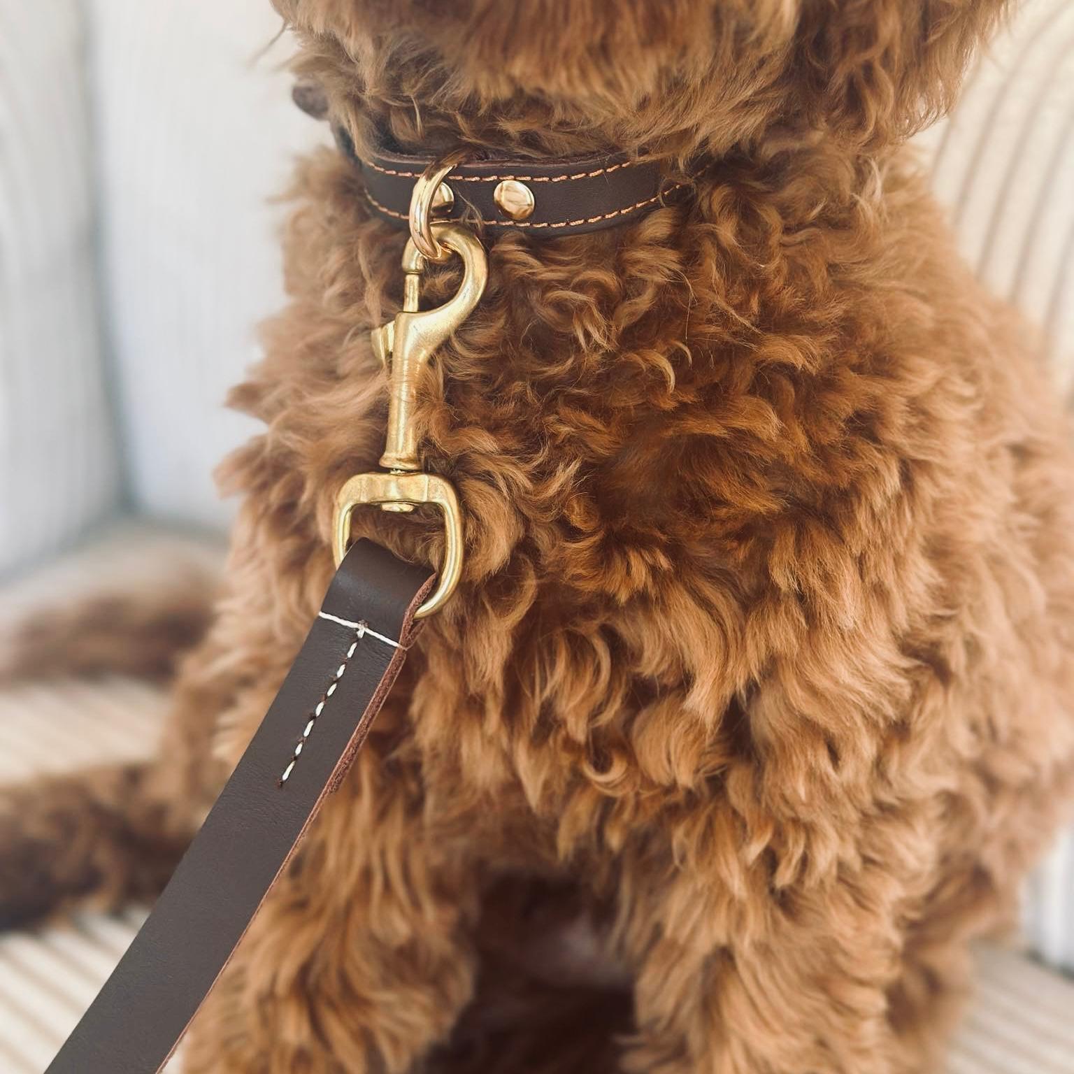 Hundesnor   Brun Læder 140cm 140 Cm