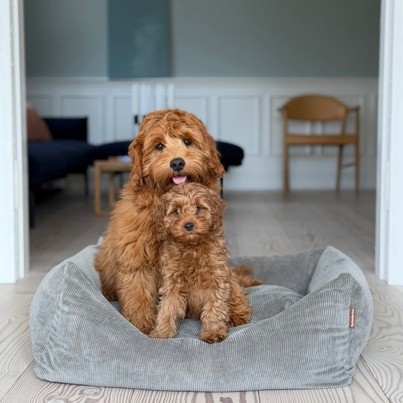 Bjørk Hundekurv   Smal Fløjl Grå Medium