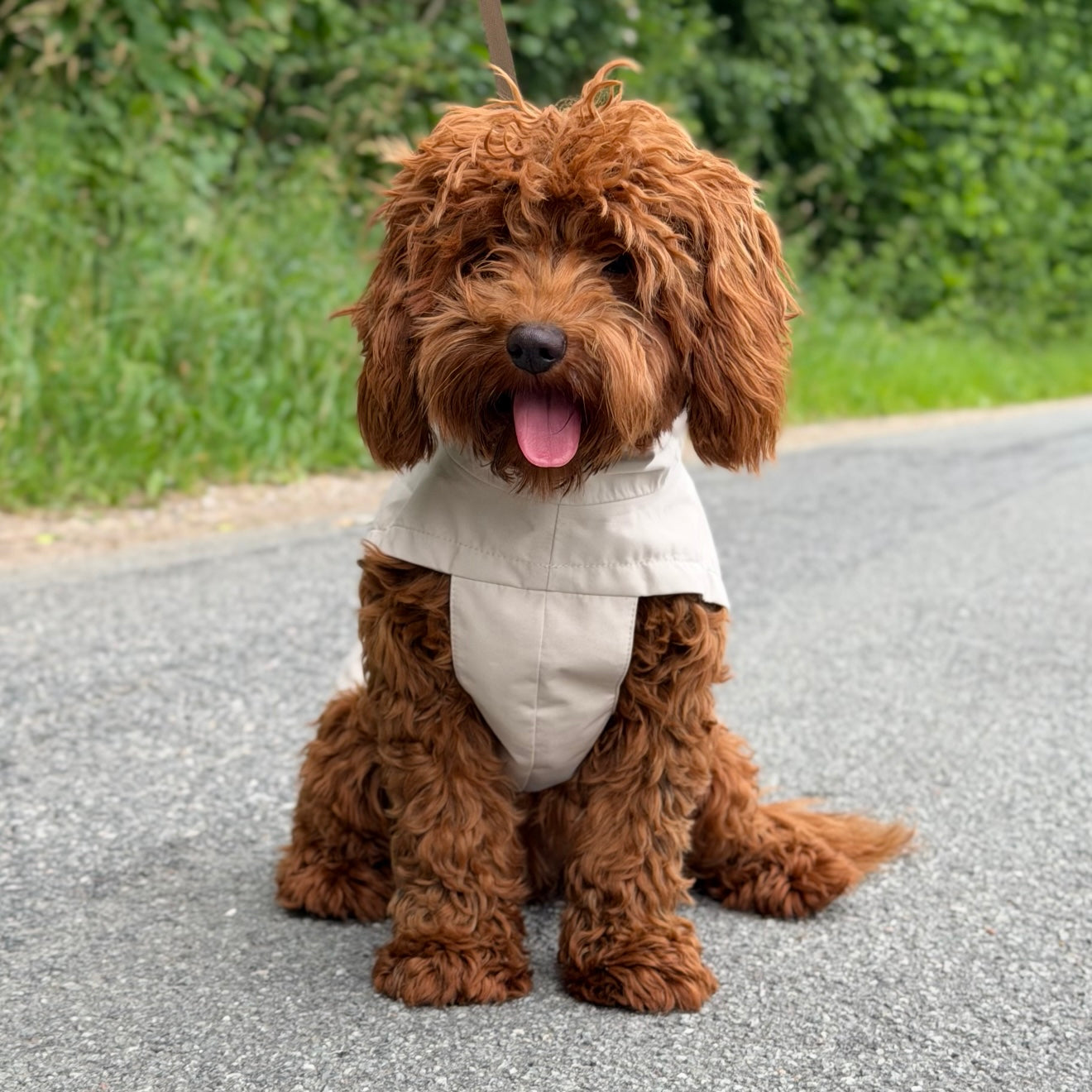 By Doodle Dogs Regnjakke Beige
