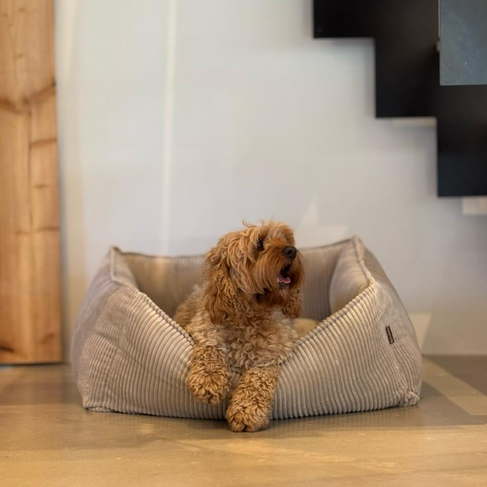 Carl Hundekurv Beige Bred Fløjl Large