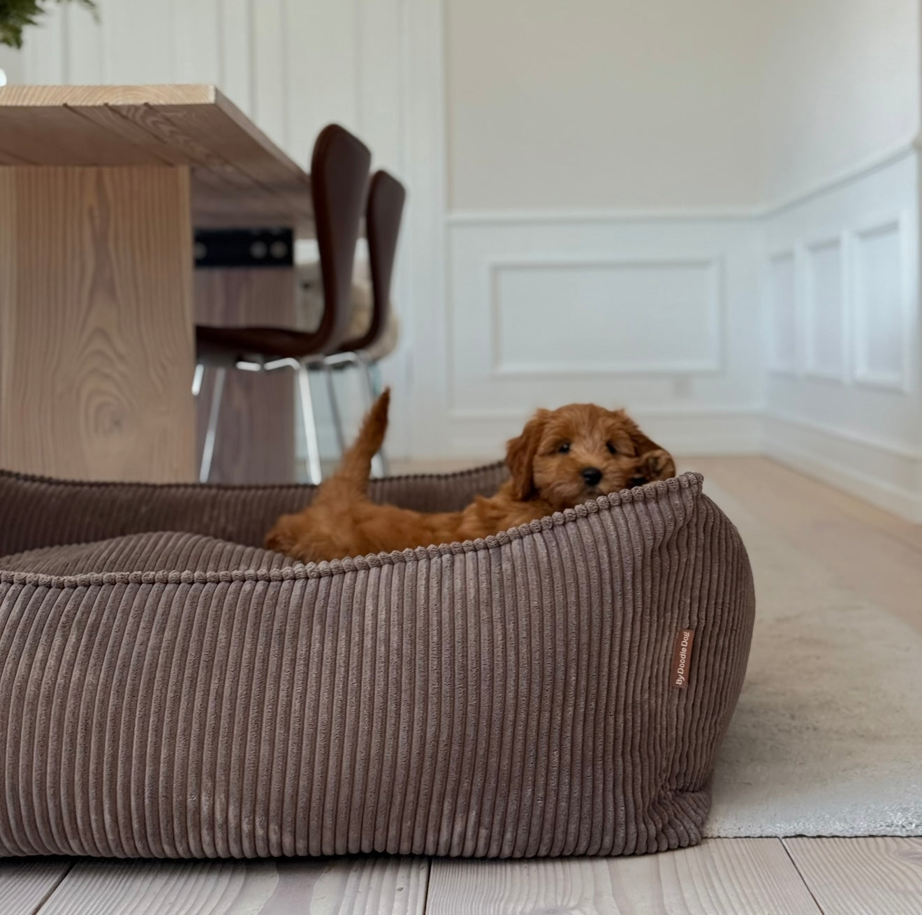 Carl Hundekurven     Mørk Brun   Forudbestilling Uge 50