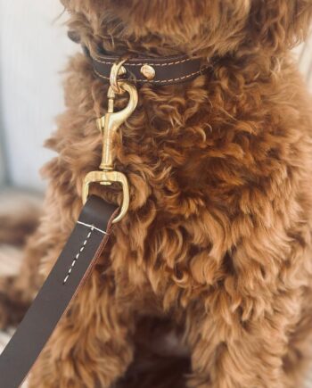 Hundesnor   Brun Læder 140cm 140 Cm