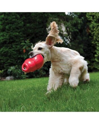 Kong Dog Toy Bounzer Medium 15cm