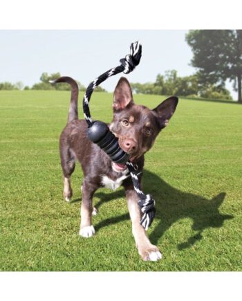 Kong Dog Toy Extreme Dental   Rope Medium