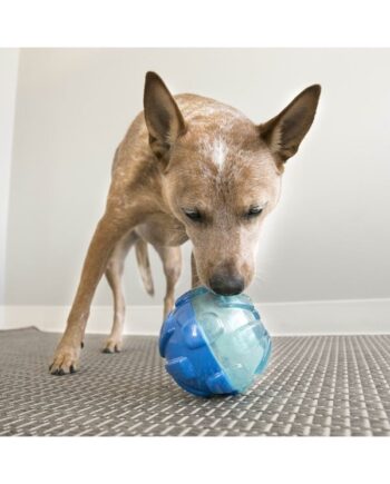 Kong Dog Toy Rewards Ball Large 12cm