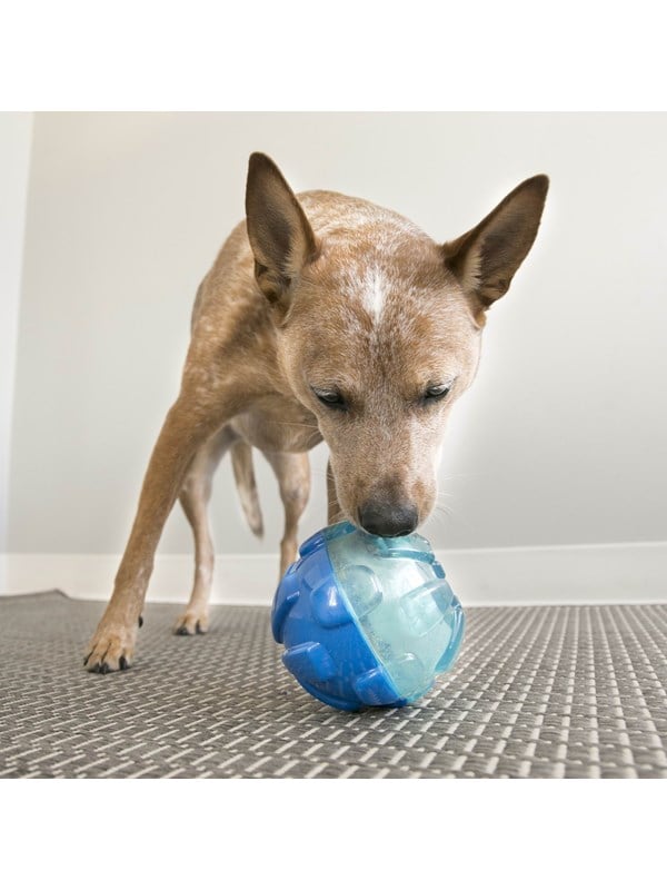 Kong Dog Toy Rewards Ball Large 12cm