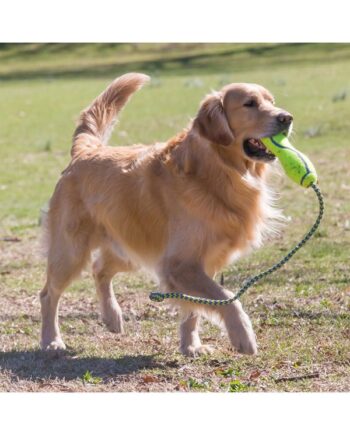 Kong Hundelegetøj Airdog Fetch Stick Med Reb