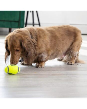 Kong Hundelegetøj Airdog Squeaker Football Small 8cm