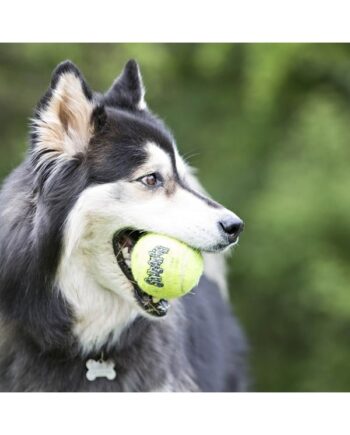 Kong Hundelegetøj Squeakair Ball  Arge 10cm