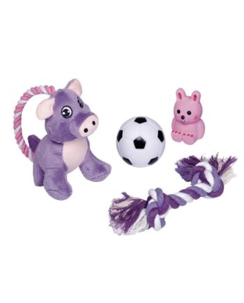 Nobby Hvalpe Starter Set Legetøj