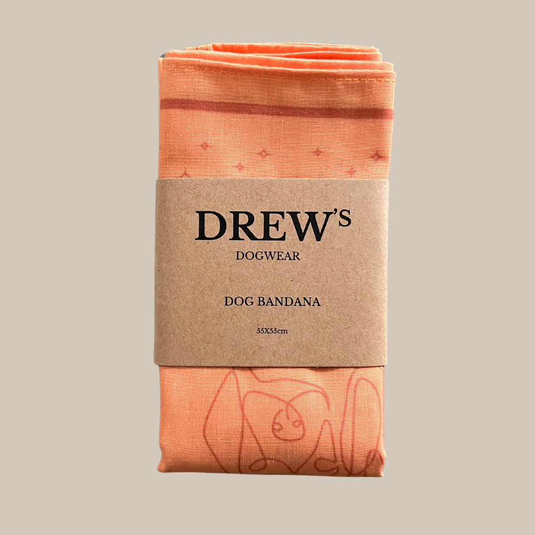 Peach   Stilfuldt Hundebandana Til Mellem Og Store Hunde  Orange  Peach Orange