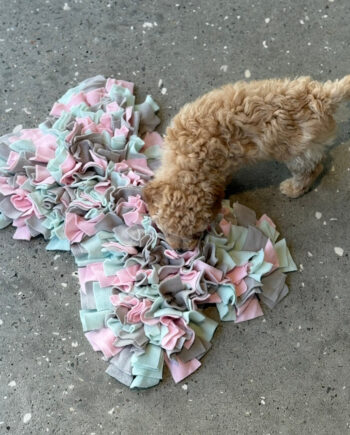 Snusemåtte Til Hund