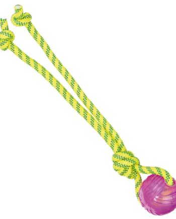 Trixie Aqua Toy Legereb Med Bold 40 Cm Flydende Vandlegetøj Med Lyd Til Hunde Eldorado