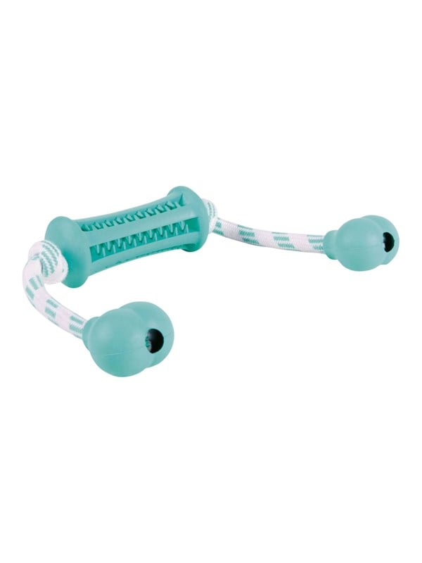 Trixie Denta Fun Stick With Rope Mint Flavour 9x37cm