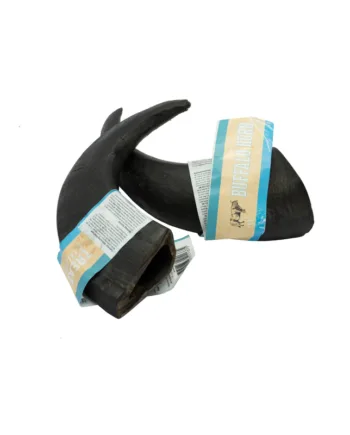 Buffalo Horn