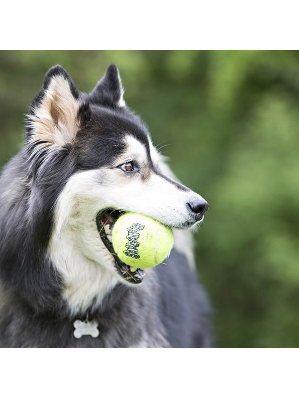 Kong Hundelegetøj Squeakair Ball Arge 10cm