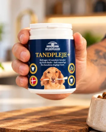 Tandpleje  Naturligt Tandplejepulver Til Hunde Avlskovgaard