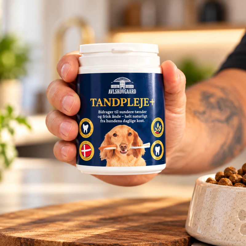 Tandpleje Naturligt Tandplejepulver Til Hunde Avlskovgaard